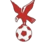 https://img.chenliangshijia.com/img/football/team/4802d26df935b78bb2fcdbbff36e8864.png